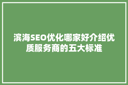 滨海SEO优化哪家好介绍优质服务商的五大标准