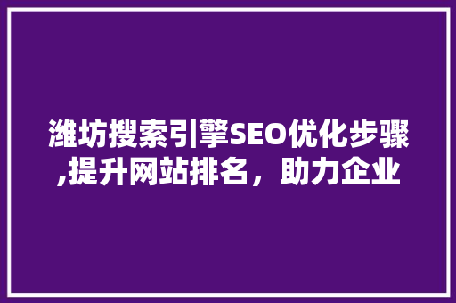 潍坊搜索引擎SEO优化步骤,提升网站排名，助力企业腾飞