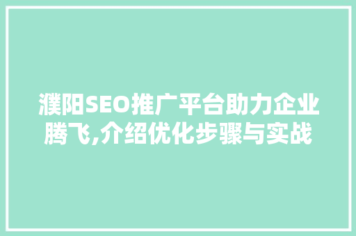 濮阳SEO推广平台助力企业腾飞,介绍优化步骤与实战方法