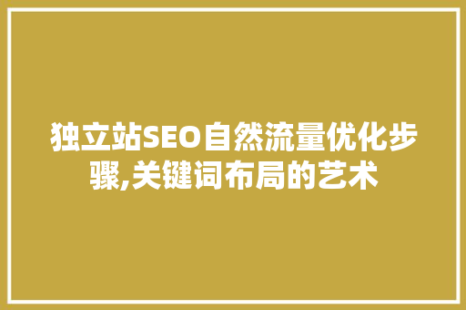 独立站SEO自然流量优化步骤,关键词布局的艺术