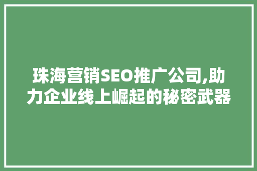 珠海营销SEO推广公司,助力企业线上崛起的秘密武器