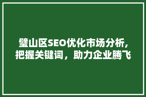 璧山区SEO优化市场分析,把握关键词，助力企业腾飞