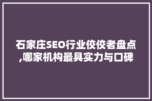 石家庄SEO行业佼佼者盘点,哪家机构最具实力与口碑
