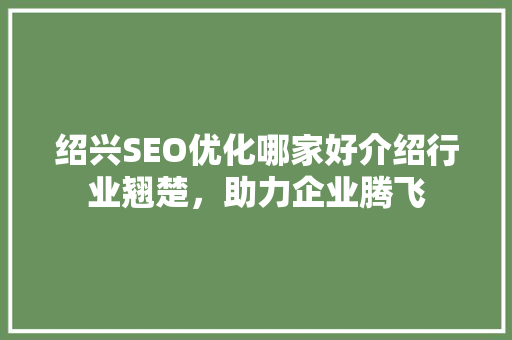 绍兴SEO优化哪家好介绍行业翘楚，助力企业腾飞