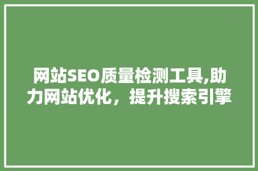 网站SEO质量检测工具,助力网站优化，提升搜索引擎排名
