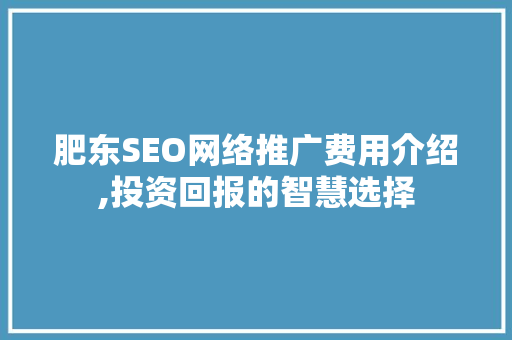 肥东SEO网络推广费用介绍,投资回报的智慧选择