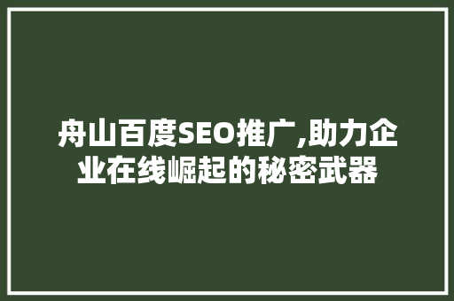舟山百度SEO推广,助力企业在线崛起的秘密武器