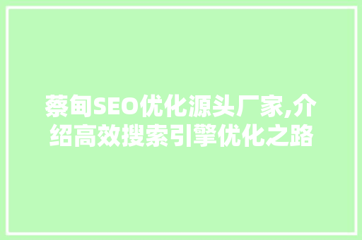 蔡甸SEO优化源头厂家,介绍高效搜索引擎优化之路