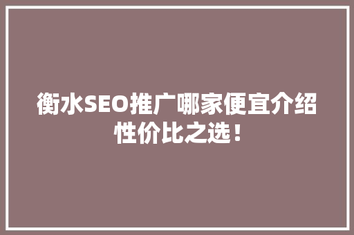 衡水SEO推广哪家便宜介绍性价比之选！