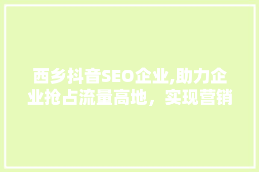 西乡抖音SEO企业,助力企业抢占流量高地，实现营销新突破
