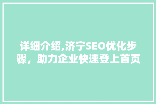 详细介绍,济宁SEO优化步骤，助力企业快速登上首页