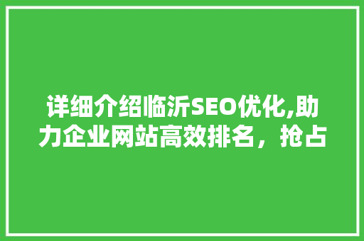 详细介绍临沂SEO优化,助力企业网站高效排名，抢占网络市场先机