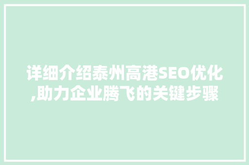 详细介绍泰州高港SEO优化,助力企业腾飞的关键步骤