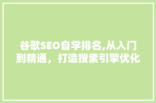 谷歌SEO自学排名,从入门到精通，打造搜索引擎优化高手