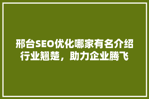 邢台SEO优化哪家有名介绍行业翘楚，助力企业腾飞