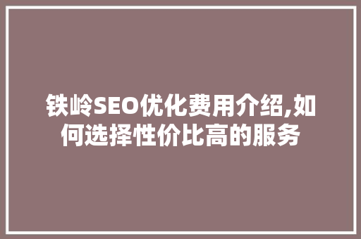 铁岭SEO优化费用介绍,如何选择性价比高的服务