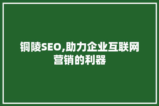 铜陵SEO,助力企业互联网营销的利器