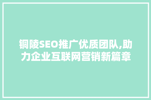 铜陵SEO推广优质团队,助力企业互联网营销新篇章