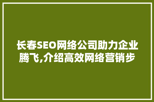 长春SEO网络公司助力企业腾飞,介绍高效网络营销步骤