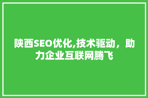 陕西SEO优化,技术驱动，助力企业互联网腾飞