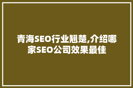 青海SEO行业翘楚,介绍哪家SEO公司效果最佳
