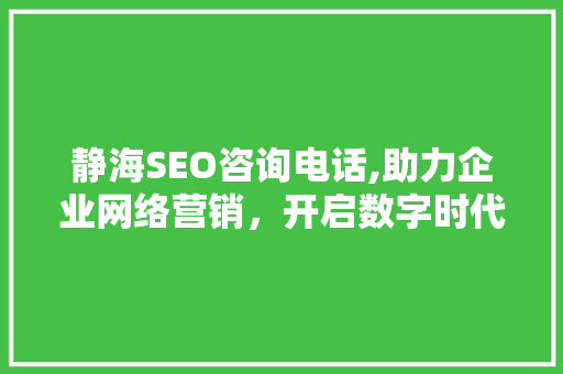 静海SEO咨询电话,助力企业网络营销，开启数字时代新篇章
