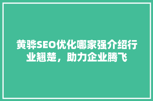 黄骅SEO优化哪家强介绍行业翘楚，助力企业腾飞